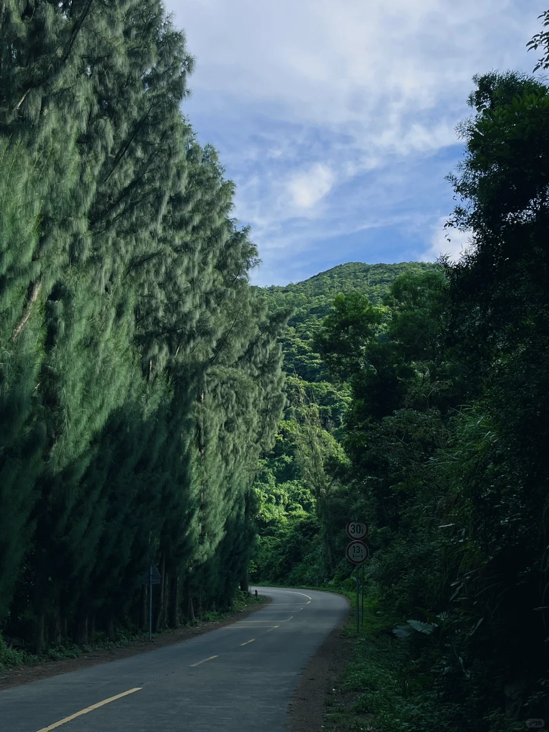 汕头南澳岛X064县道2号森林公路